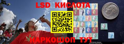 спайс Краснодар